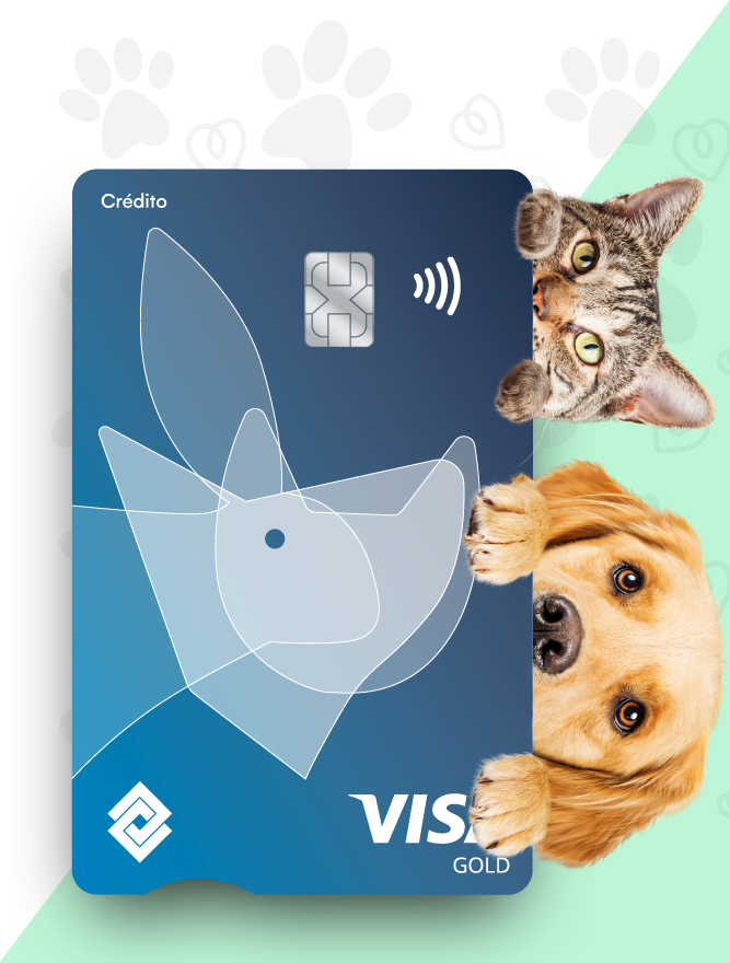 imagen Visa Mascostas mobile