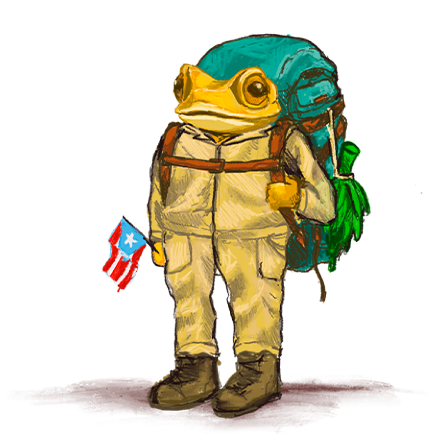 Icono o imagen del banner colors