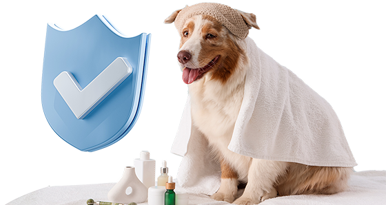 imagen Seguro mascotas