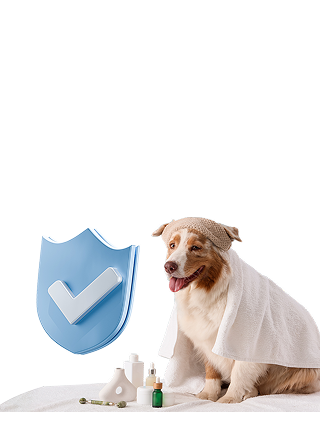 imagen Seguro mascotas mobile