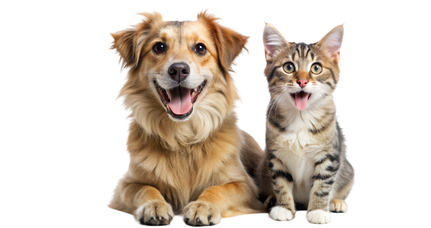 imagen seguro mascotas mobile