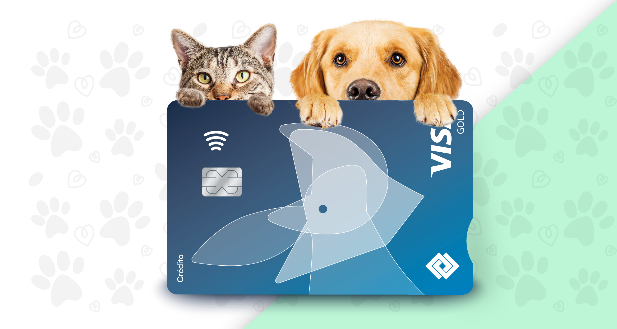 imagen Visa Mascostas